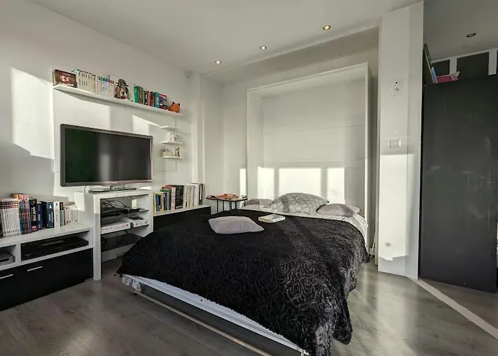 Hyper Centre Sur Yon - Spacieux Et Lumineux 公寓 永河畔拉罗什