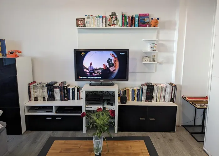 公寓 Hyper Centre Sur Yon - Spacieux Et Lumineux 永河畔拉罗什